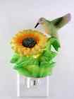 Co27 Lithow 6 Hummingbird And