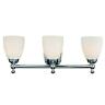 Cp3563 Hampton Bay Solomone Bathroom Vanity Light With Opal 736916642699
