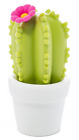 Dhink324-02rmx Rmex Cactus Flower Night 5404006038794