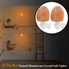 Ds102123p001 Dstana 2 Pack Natural 712809114566