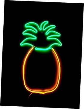 Four Seasons Import 040232588976 24 Inch Pineapple Neon Led Rope Light D Cor