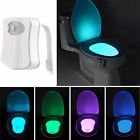 Kingsocecv892 Kingso Led Toilet Light