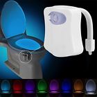Led799460474642 Fourishing Jubilant Colorful Motion 799460474642