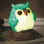 53982-bl Light Owl Blue Statue-nite Glow Led Exhart