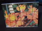 Lightboxes Illuminators 4 " 48 Expotrans 3 Box Wired 36 Light .