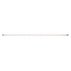 Ls-led32-w Wac Lighting Lsled32wwt 31.25-inch 790576210940