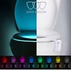 Toilet-l3 N-a Gold Armour Toilet Night 701231292607