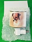 N41104 Gift Link Robert May Jack Russell Terrier Dog 646401156092