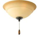 P2645-77 Progress Lighting Torino 3-light 785247149537