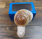 Pa08 Lithow Snail-sea Shell Night