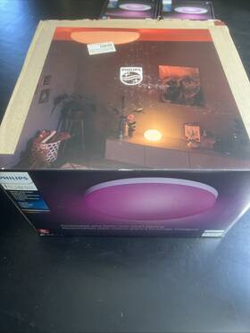 40905 Philips Hue White And Color Ambiance Flourish Ceiling Light