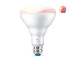 603456 Phillips Wiz Smart Bulb R