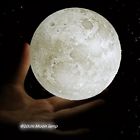 Phoebe 7cm Riverange Night Light 889957526562