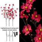 Raz Exclusive Imports Summer S-3 Stems Indoor 39 Electric Pink Dogwood Flower Twig Lights 048893818135