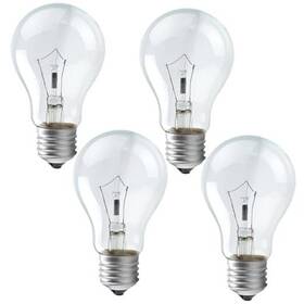 Rugaccg Fth-45g4 Incandescent Light Bulb A19 E26 Medium Base Dimmable Soft White - 4 Count