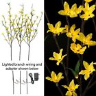 Summer Forsythia Imports Stems Indoor " Raz Twig Lights 39 Electric 048893780746 3