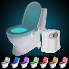 Toil001 Websun Toilet Seats Motion 639112711445