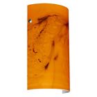 7042hb-pn Wall Nickel Polished Habanero 7042hb Light Besa Tamburo