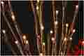 Wlwb6040-b The Light Garden Battery Powered Willow Branch Accent 60 Led Bulbs 813366010534