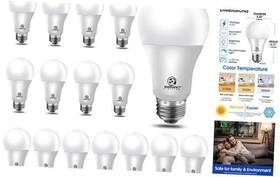 Yga03b12-a19-8.5w-3000k-16pk Yankon Lighting Energetic 60w Equivalent A19 Led Light Bulb 5000k Daylight