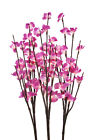Yh60d-p Zeckos 60 Blossom Led 980139801467