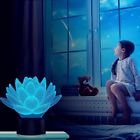 Ykllgt459 Ykl World 3d Lotus