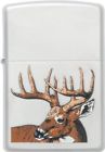 Zo23481 Zippo Lighters 23481 Whitetail 041689234812