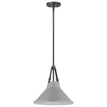 Nuvo Lighting Zelda 1 Pendant/med. BASE/60W, Black/gray Metal 60-7646. Fixed Price $169.98.