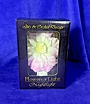 Ibis & Orchid Design Flowers Of Nightlight Nib Rose. Fixed Price $28.99.