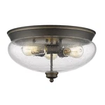 Z-lite Amon Light Flush Mount, Olde Bronze, Clear Seedy 722F3-OB. Fixed Price $94.99.