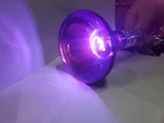 Ge 22748 Halloween R30 Indoor Floodlight 75-WATT Bulb. Fixed Price $10.95.