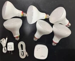 6 Sengled BR30 Smart Zigbee Color Bulbs + Hub. Fixed Price $45.00.