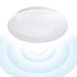 Radar Motion Sensor Smart Dimmable Dusk To Down Indoor Outdoor Ceiling Light. Fixed Price $58.82.