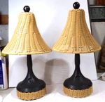 Set Of 2 Vector Indoor/outdoor Rechargeable Lamps Wicker Shades/accents 16.5". Fixed Price $20.00.
