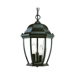 Acclaim Lighting 5036BK Wexford Outdoor Pendant Chandeller Matte Black. Fixed Price $77.00.