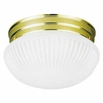 Westinghouse 1-LIGHT Flush-mount Interior Ceiling Fixture (66329) Fs. Fixed Price $24.00.