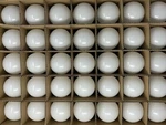 Bulk Lot (case) Of Ge Led Way Bulbs 50/100/150 19W 2155/1300/650 2700K A21. Fixed Price $249.99.
