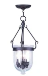Livex Lighting 5063 Jefferson 10"W Mini Pendant - Black. Fixed Price $219.00.
