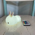 Silicone Bunny Led Night Light Remote Control Color Changing Rechargeable Lamp. Fixed Price $15.99.
