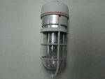 Larson Class 1 Division Non-metallic Corrosion Resistant Light 42 Watt. Fixed Price $149.95.