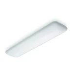 Lithonia Lighting Dpuff Replacement Lens, Fluorescent Diffuser, Acrylic, 10640. Fixed Price $75.99.
