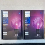 2 Pack Philips - Hue Lightguide Small Globe G30 Black Lot. Fixed Price $164.99.