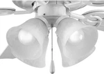 Progress Lighting P2610-30WB Fan Kits 4-LIGHT White Ceiling. Fixed Price $33.99.
