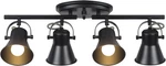Keesfu 4-LIGHT Track Lighting Kit,black Semi Flush Mount Ceiling With. Fixed Price $35.46.