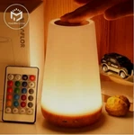 13 Color Changing Night Light Rgb Remote Control Touch Dimmable Lamp Portable. Fixed Price $29.99.
