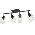 Lousace Kitchen Track Fixtures Ceiling Vanity 4-LIGHT, Black. Fixed Price $145.99.
