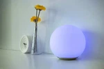 Idual Dahlia Led Smart Mood Light Portable Lamps With Remote Control. Fixed Price $36.00.