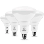 Energetic BR40 Led Dimmable Flood Bulb, 5000K Daylight, 110W Equivalent,. Fixed Price $39.98.