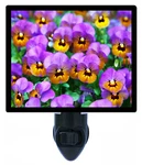 Flower Decorative Photo Night Light, Purple Pansies, Garden, Summer. Fixed Price $26.99.