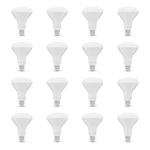 Amazon Basics BR30 Led Bulb, 65W 16 Count (pack Of 1), Daylight. Fixed Price $39.29.